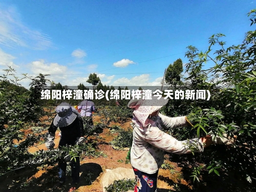 绵阳梓潼确诊(绵阳梓潼今天的新闻)-第2张图片