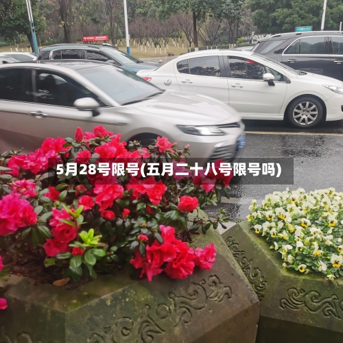 5月28号限号(五月二十八号限号吗)-第2张图片
