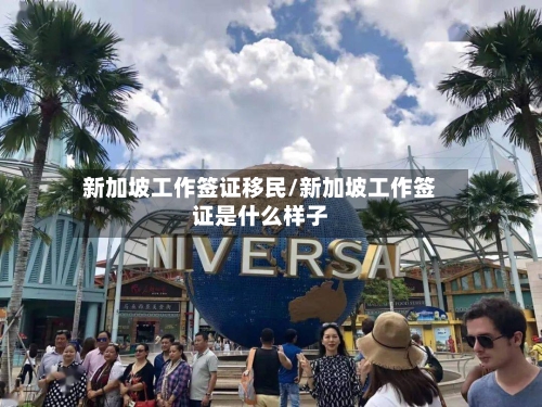 新加坡工作签证移民/新加坡工作签证是什么样子
