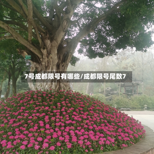 7号成都限号有哪些/成都限号尾数7