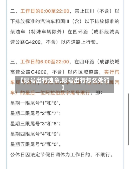 【限号出行违章,限号出行怎么处罚】