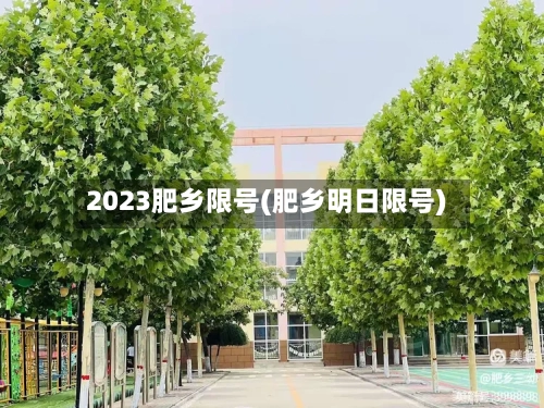 2023肥乡限号(肥乡明日限号)-第3张图片