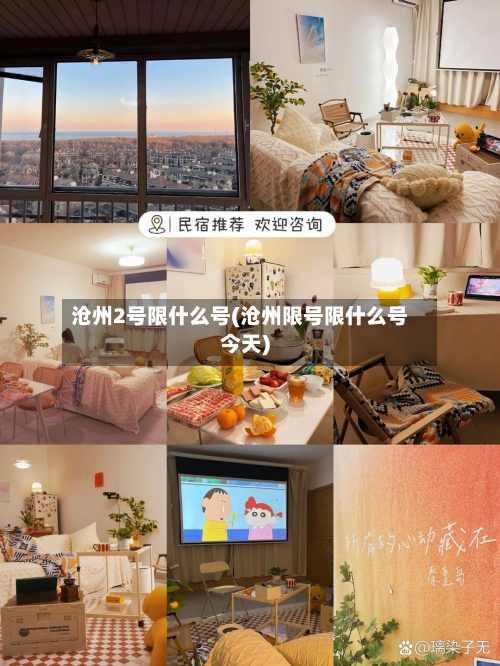 沧州2号限什么号(沧州限号限什么号今天)-第3张图片