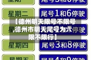 【德州明天限号不限号,德州市明天尾号为六限不限行】-第2张图片