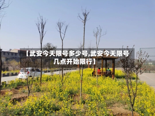 【武安今天限号多少号,武安今天限号几点开始限行】-第2张图片