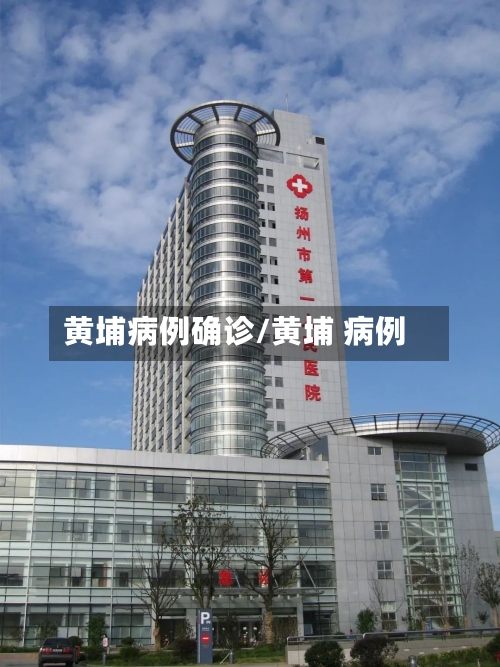 黄埔病例确诊/黄埔 病例