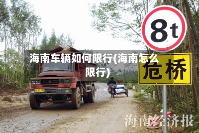 海南车辆如何限行(海南怎么限行)-第2张图片
